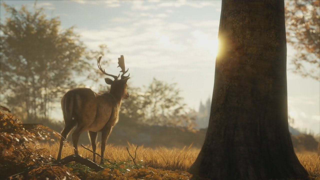 Deer hunter 2016 trailer movie